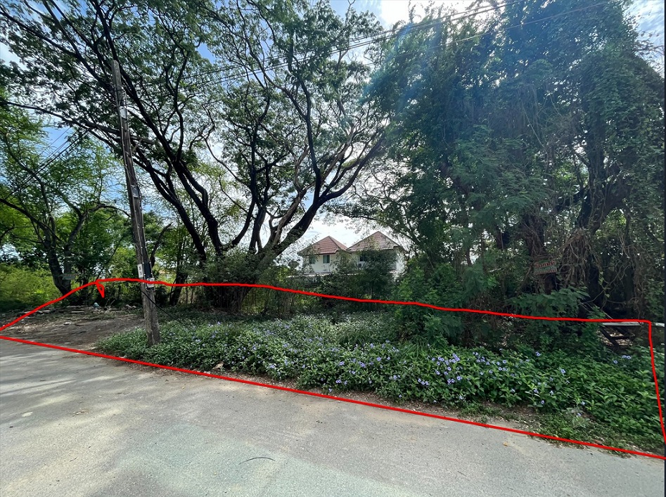 ขายที่ดิน บางกะปิ นวมินทร์ 24 หมู่บ้านศรีนครพัฒนา 202 ตรว เหมาะสร้างบ้านเดี่ยว สำนักงาน ออฟฟิศ