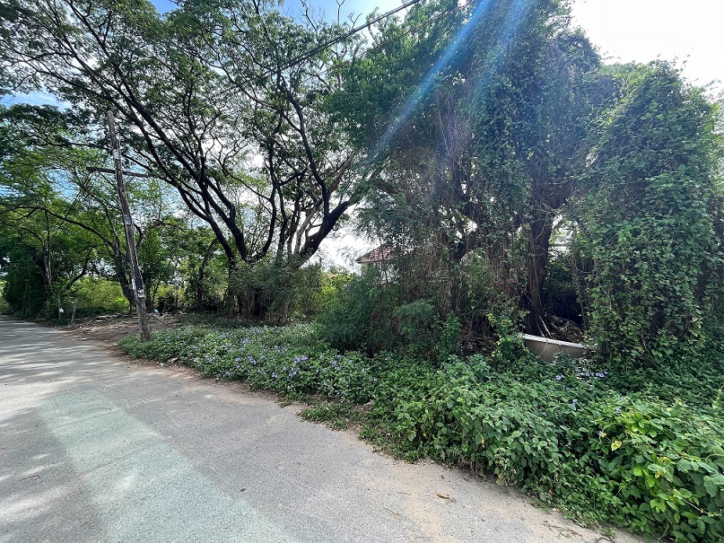 ขายที่ดิน บางกะปิ นวมินทร์ 24 หมู่บ้านศรีนครพัฒนา 202 ตรว เหมาะสร้างบ้านเดี่ยว สำนักงาน ออฟฟิศ