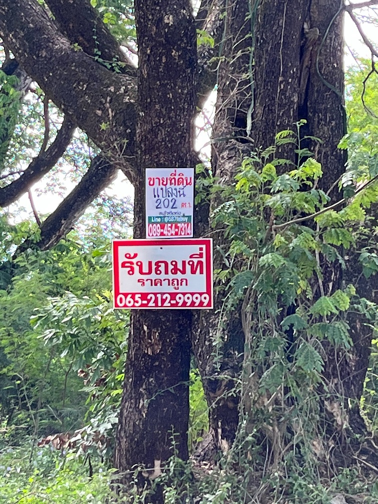 ขายที่ดิน บางกะปิ นวมินทร์ 24 หมู่บ้านศรีนครพัฒนา 202 ตรว เหมาะสร้างบ้านเดี่ยว สำนักงาน ออฟฟิศ