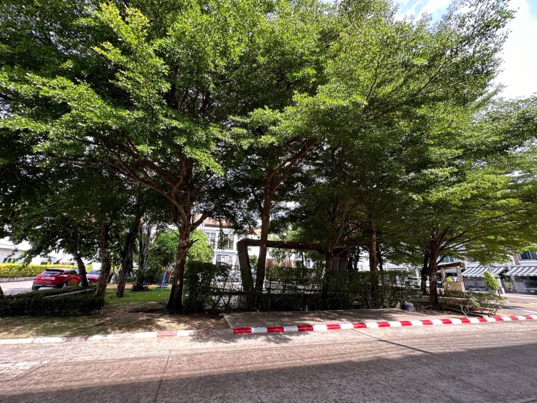 บ้านกลางเมืองเอสเซนต์ ศรีนครินทร์ 46/1 ตรงข้ามพาราไดซ์