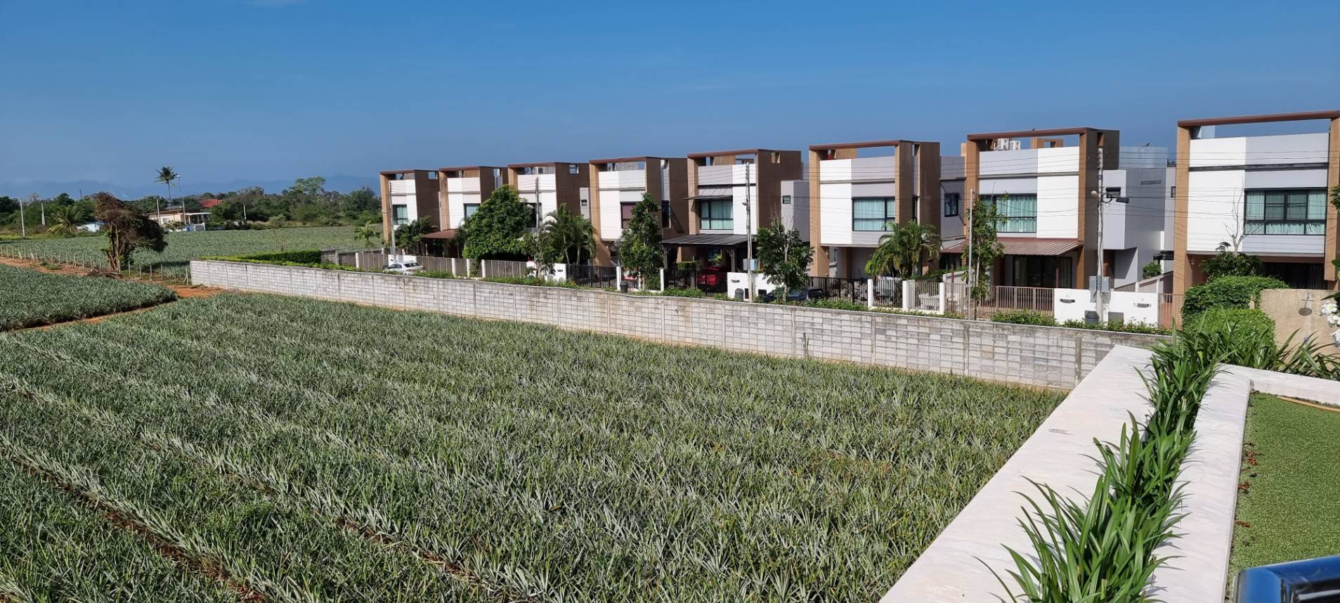 ขายบ้านแฝดสไตล์บ้านเดี่ยว 2 ชั้น