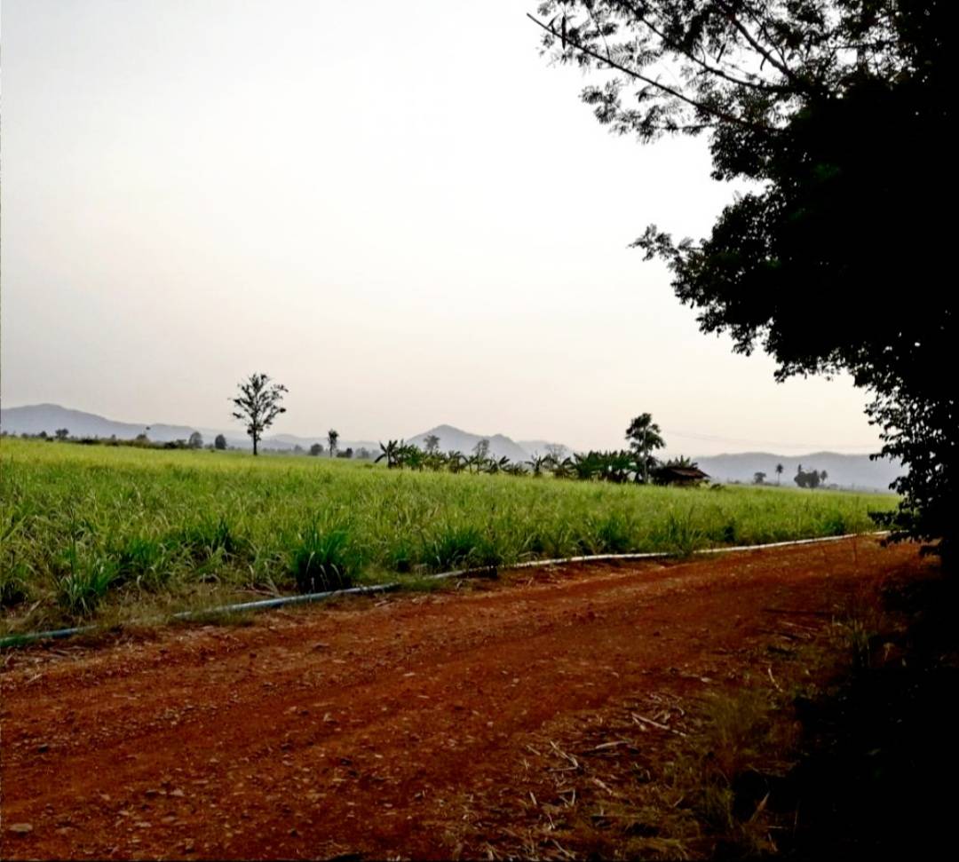 ขายบ้านสวนพร้อมที่ดิน 22 ไร่ 2 งาน 40 ตรว.