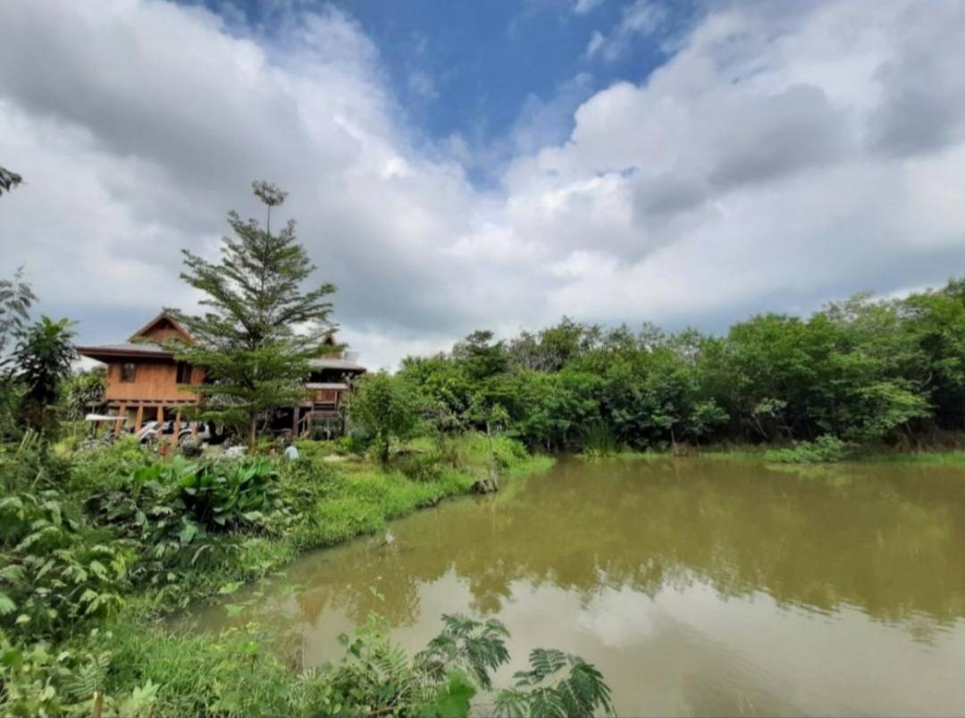 ขายบ้านสวนพร้อมที่ดิน 22 ไร่ 2 งาน 40 ตรว.