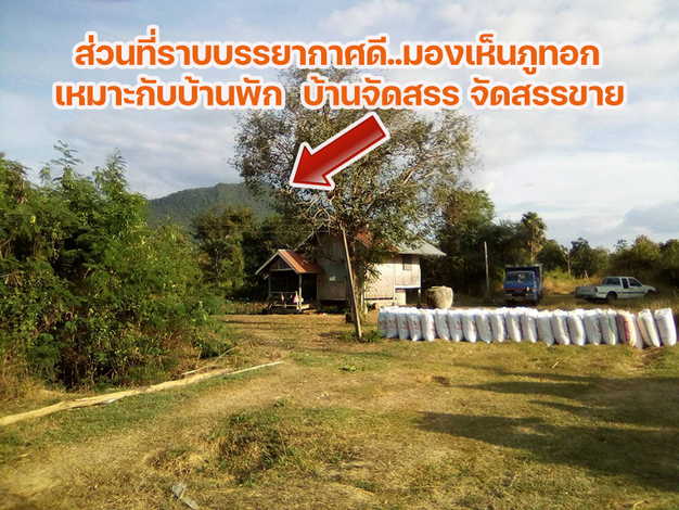 ที่ดินสวยใกล้ภูทอกติดถนนโครงการเลี่ยงเมืองสี่เลนเชียงคานล่าสุด ในอนาคตอันใกล้ แบ่งขาย1-4ไร่ โฉนดพร้อมโอน 