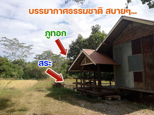 ที่ดินสวยใกล้ภูทอกติดถนนโครงการเลี่ยงเมืองสี่เลนเชียงคานล่าสุด ในอนาคตอันใกล้ แบ่งขาย1-4ไร่ โฉนดพร้อมโอน 
