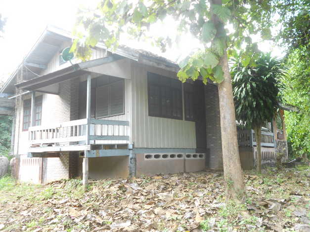 ที่ดิน101ไร่ 1 งาน อ.ปากชม จ.เลย ที่สวยทำเลดี