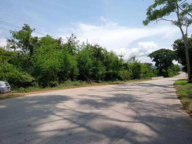 ที่ดิน101ไร่ 1 งาน อ.ปากชม จ.เลย ที่สวยทำเลดี