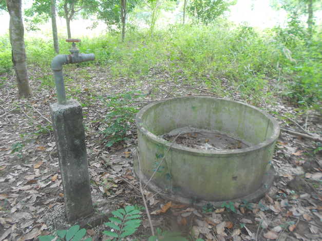 ที่ดิน101ไร่ 1 งาน อ.ปากชม จ.เลย ที่สวยทำเลดี