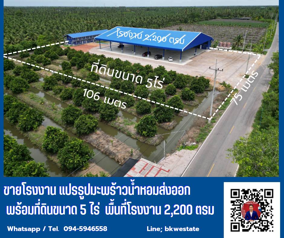 ขายโรงงานมะพร้าวน้ำหอม อ. ดำเนินสะดวก  จ.ราชบุรี พร้อมให้คำปรึกษาด้านการส่งออก