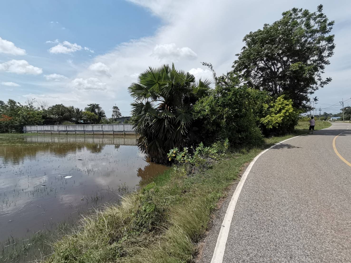 ขายที่ดิน 3ไร่ ติดถนนเหมาะกับการทำบ้านสวน บ้านจัดสรร เงียบสงบ เดินทางสะดวกสบาย