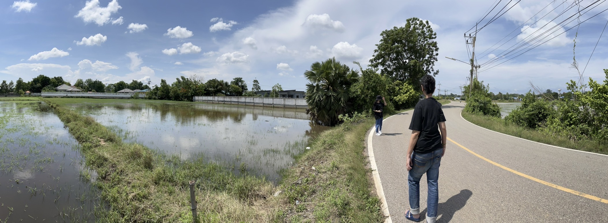 ขายที่ดิน 3ไร่ ติดถนนเหมาะกับการทำบ้านสวน บ้านจัดสรร เงียบสงบ เดินทางสะดวกสบาย