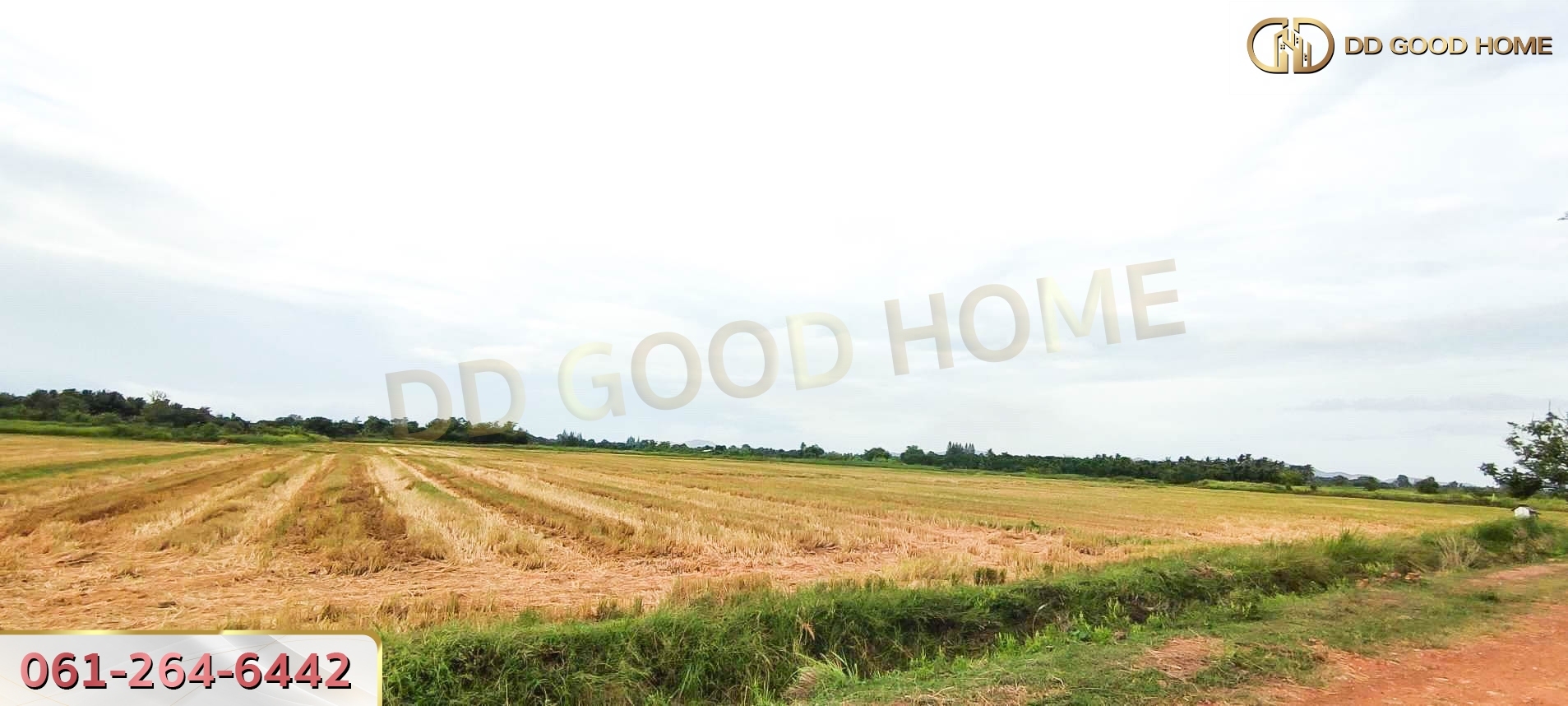 ที่ดินเปล่า 21 ไร่ 3 งาน 55 ตร.ว. ต.ศิลาลอย อ.สามร้อยยอด