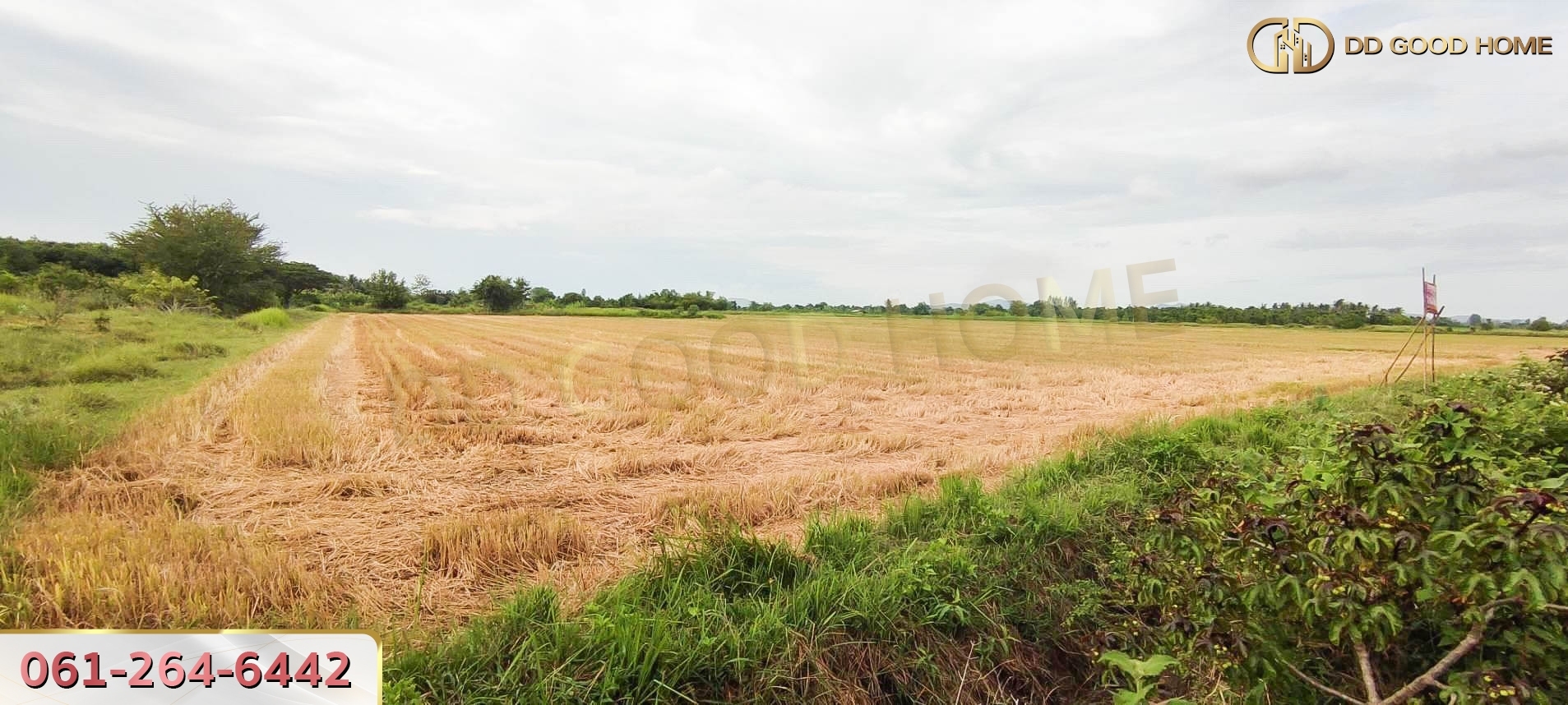 ที่ดินเปล่า 21 ไร่ 3 งาน 55 ตร.ว. ต.ศิลาลอย อ.สามร้อยยอด