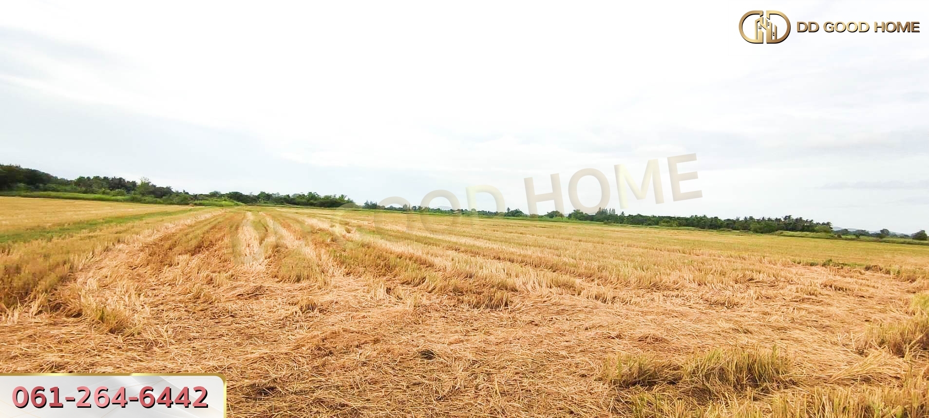 ที่ดินเปล่า 21 ไร่ 3 งาน 55 ตร.ว. ต.ศิลาลอย อ.สามร้อยยอด