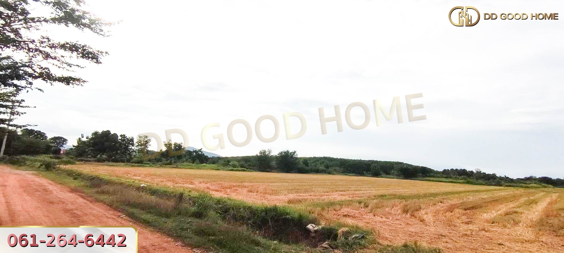 ที่ดินเปล่า 21 ไร่ 3 งาน 55 ตร.ว. ต.ศิลาลอย อ.สามร้อยยอด