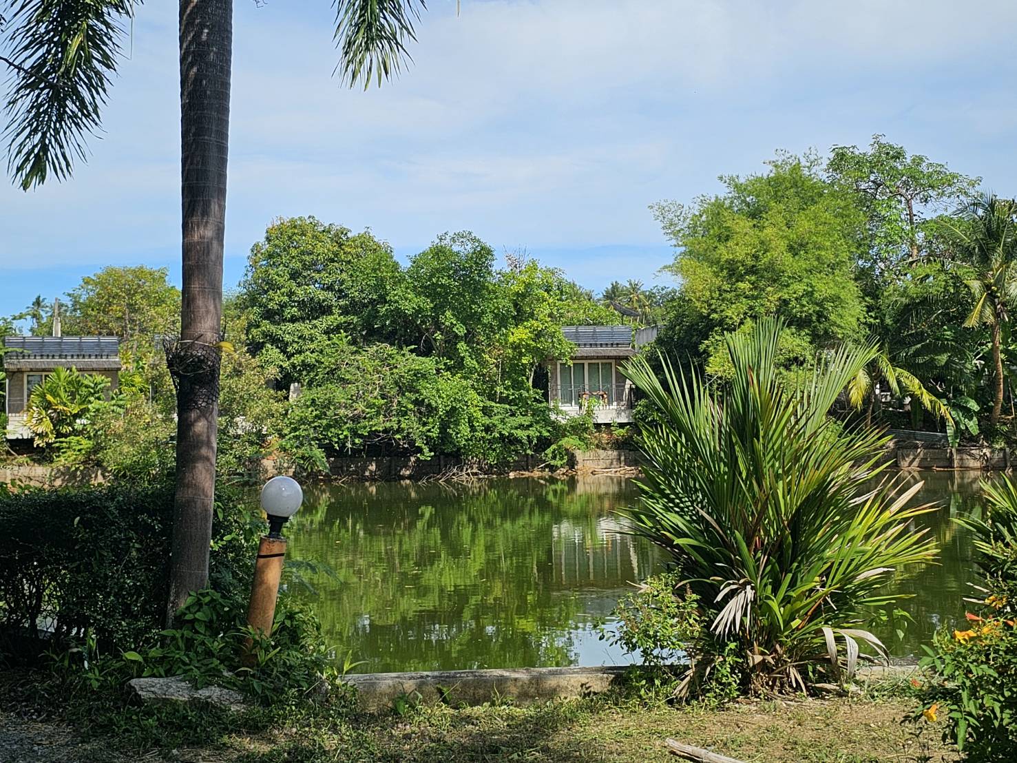 ขายด่วน ที่ดิน เนื้อที่ 3-2-69 ไร่ ขายรวมกิจการรีสอร์ท ใกล้สวนนงนุชพัทยา จ.ชลบุรี 