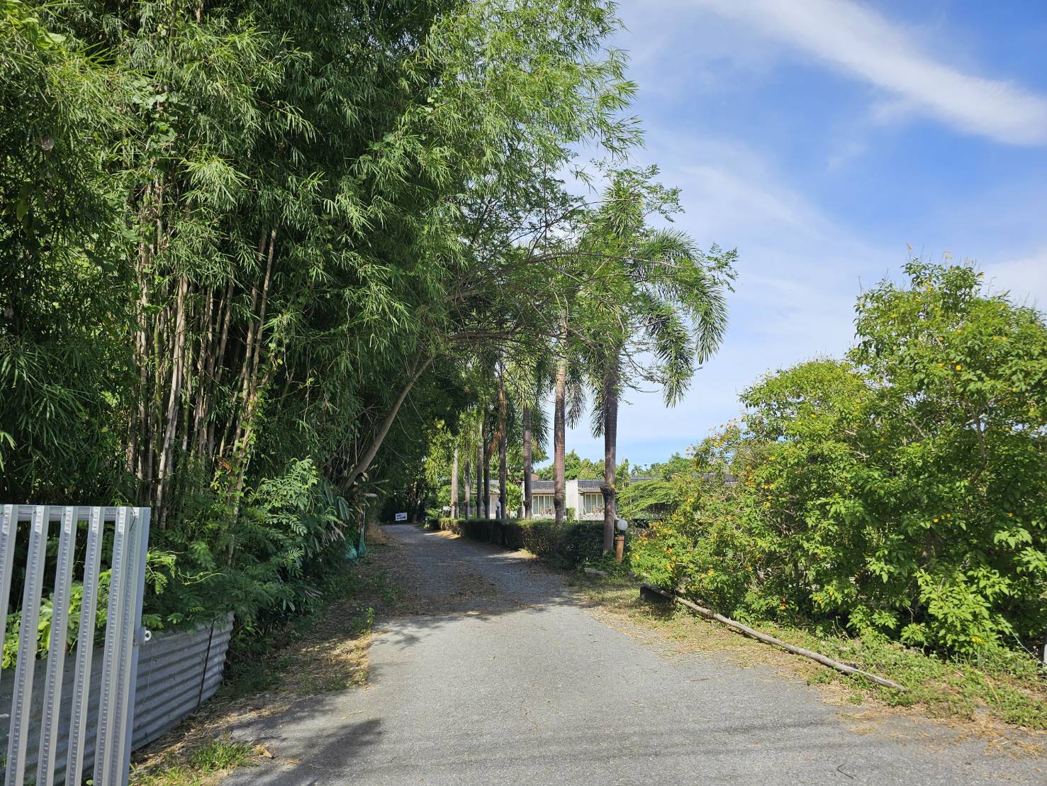 ขายด่วน ที่ดิน เนื้อที่ 3-2-69 ไร่ ขายรวมกิจการรีสอร์ท ใกล้สวนนงนุชพัทยา จ.ชลบุรี 