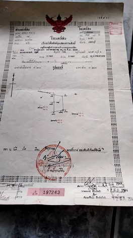 ขายบ้านเดี่ยวชั้นเดียว มีสระว่ายน้ำ ทำเลดี  อำเภอชะอำ จังหวัดเพชรบุรี  (เจ้าของขายเอง)