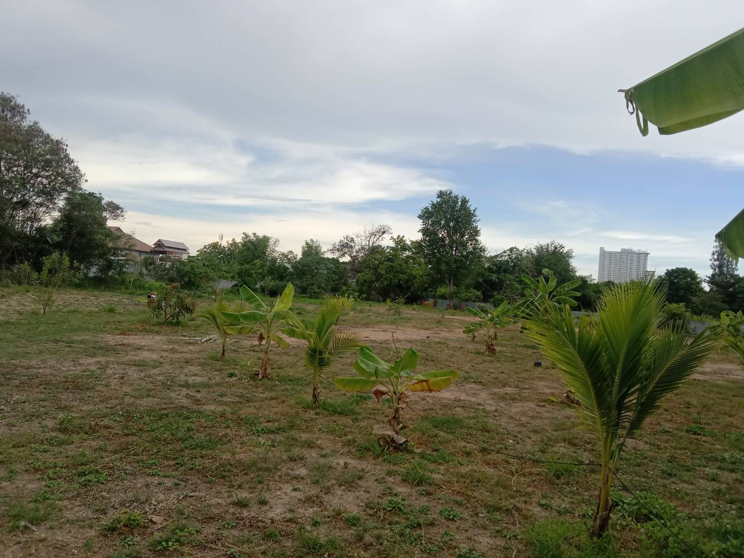 ขายด่วน ถูกมาก !! ที่ดิน 2 ไร่ พัทยา อยู่ซอยสุขุมวิท 27 