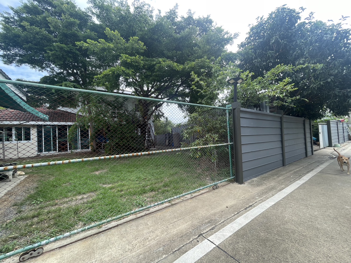 ขายบ้านเดี่ยวหลังใหญ่ ทำเลดี พร้อมอยู่ อ.คลองหลวง จ.ปทุมธานี ติดถนน 2 ด้าน กว้าง 30 เมตร เป็นหน้าบ้านทั้ง 2 ด้าน