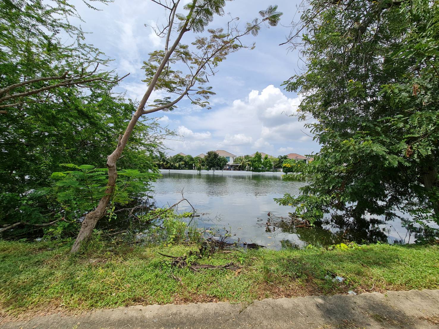 ขายด่วน ที่ดินบางใหญ่ขายที่ดินเปล่าเนื้อที่  267  ตรว แถวตลาดบางใหญ่