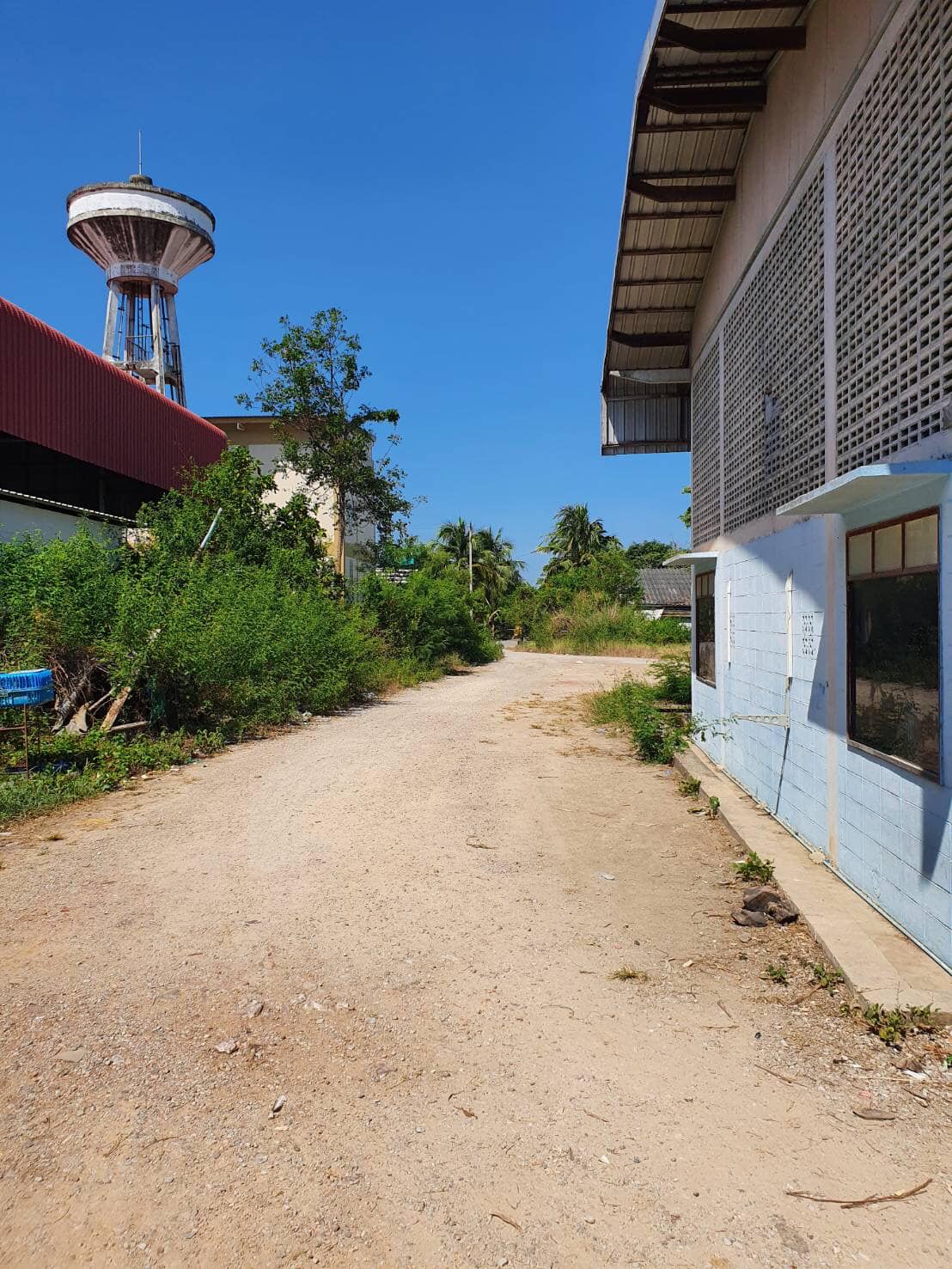 ขายที่ดิน ติดคลองดำเนินสะดวก ราชบุรี