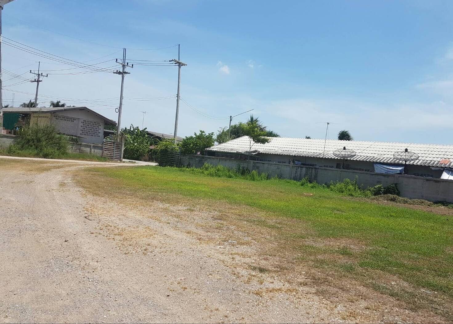 ขายที่ดิน ติดคลองดำเนินสะดวก ราชบุรี