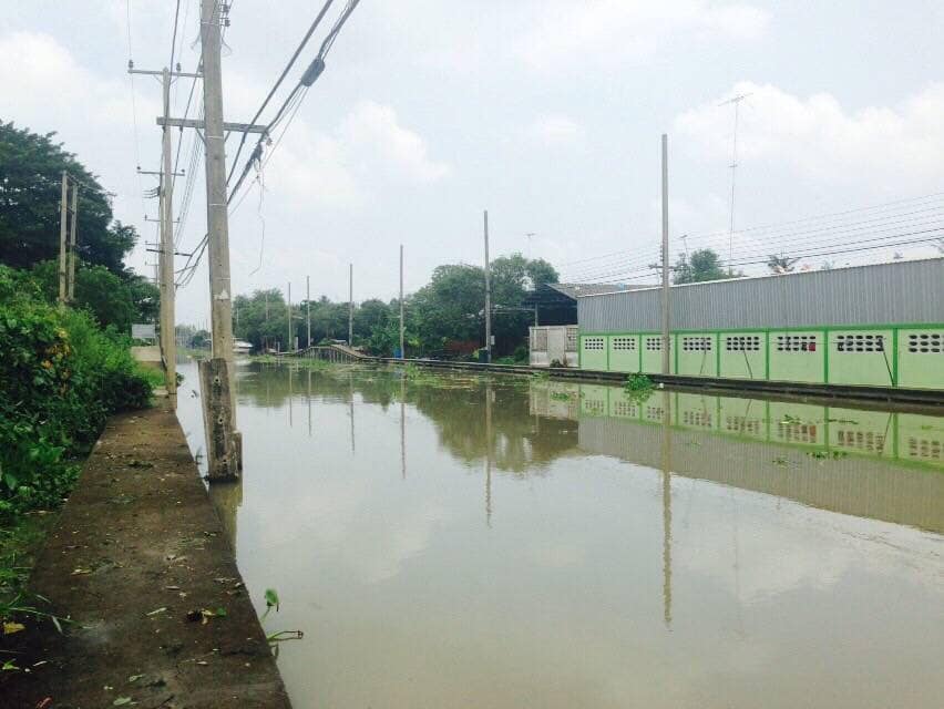 ขายที่ดิน ติดคลองดำเนินสะดวก ราชบุรี