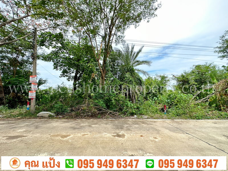 ขาย ที่ดิน 100 ตารางวา ต.คลองสาม อ.คลองหลวง ปทุมธานี