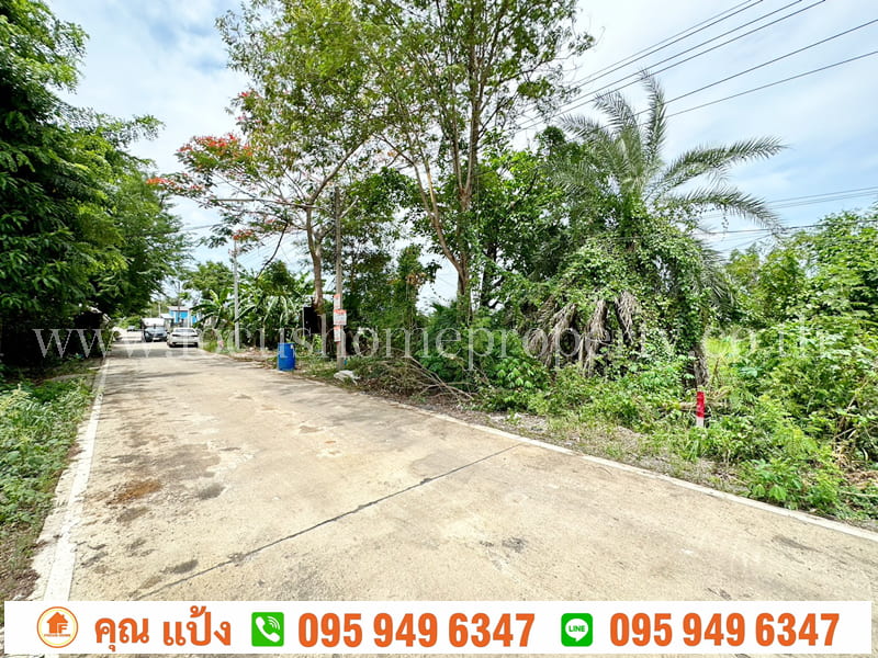 ขาย ที่ดิน 100 ตารางวา ต.คลองสาม อ.คลองหลวง ปทุมธานี