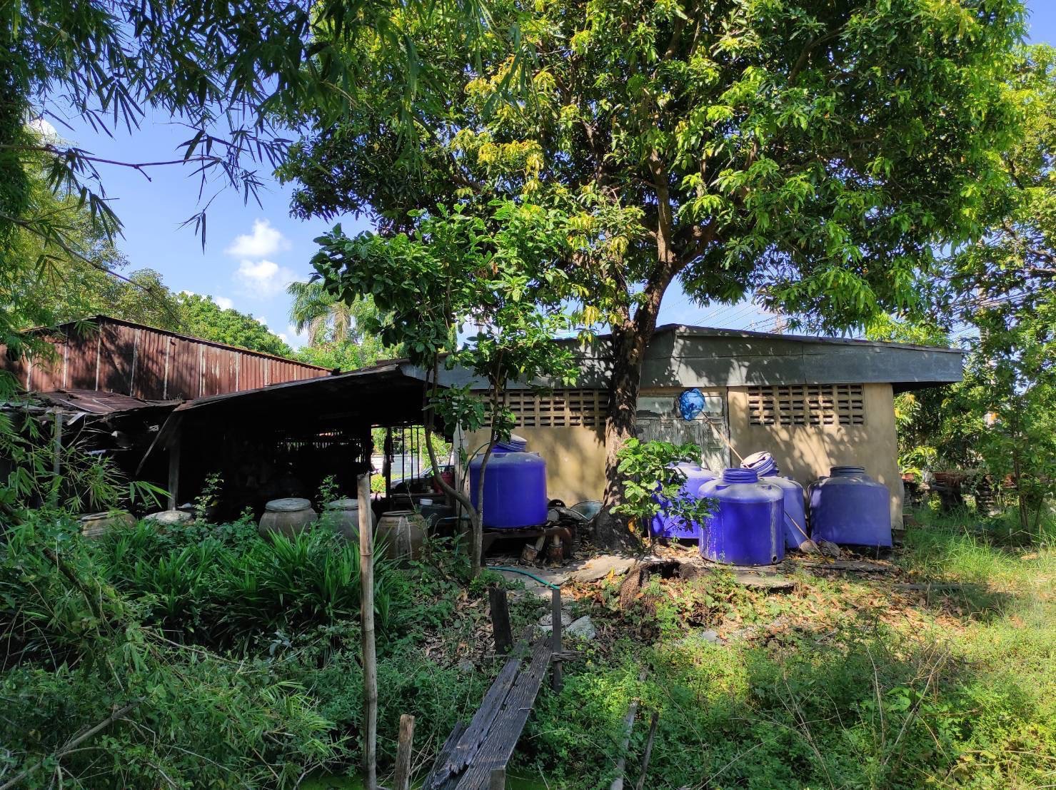 ที่ดินติดถนนรังสิต-นครนายก คลอง15