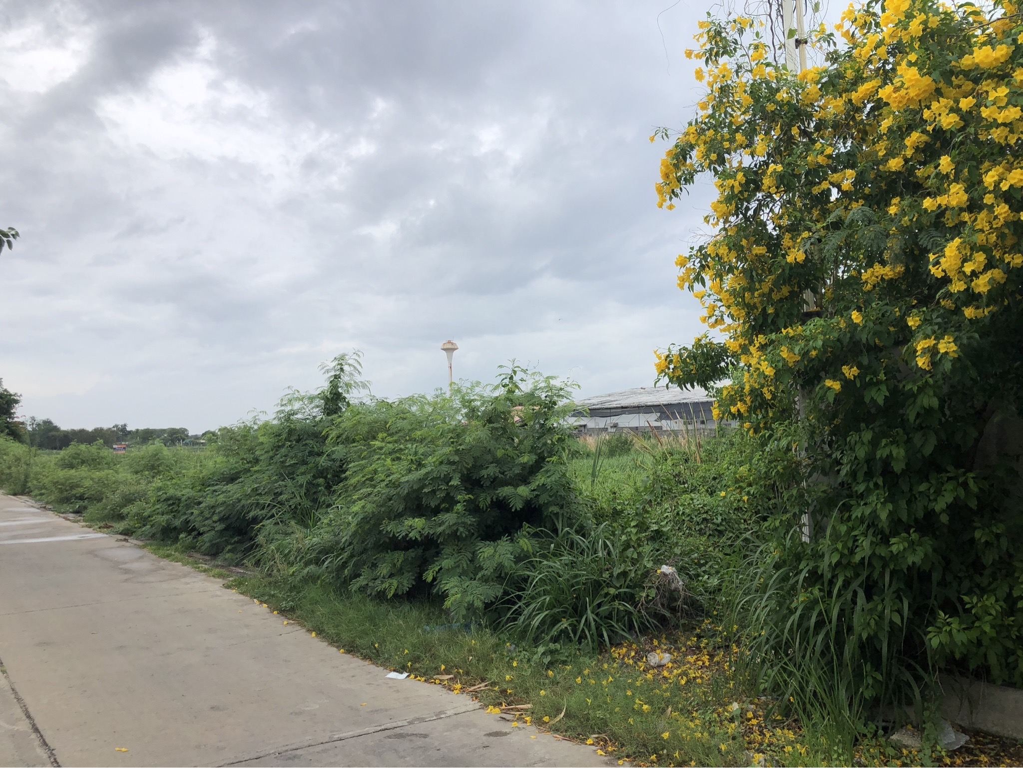 ขายที่ดินเปล่าขนาด 4ไร่ 2งาน 3.6 ตารางวา ใกล้แหล่งชุมชน ตำบลบางน้ำจืด สมุทรสาคร 