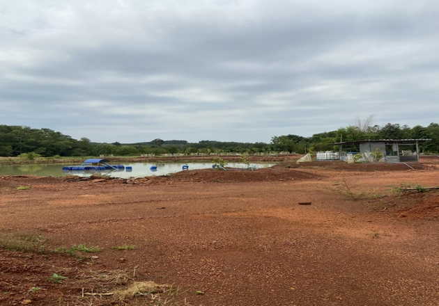 ขายที่ดินพร้อมสวนทุเรียน 800 ต้น ต.ชากโดน อ.แกลง จ.ระยอง   (เจ้าของขายเอง)