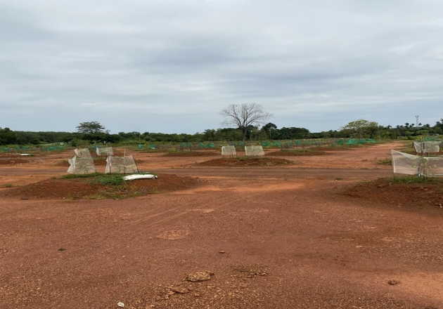 ขายที่ดินพร้อมสวนทุเรียน 800 ต้น ต.ชากโดน อ.แกลง จ.ระยอง   (เจ้าของขายเอง)