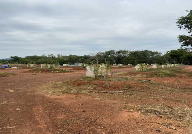 ขายที่ดินพร้อมสวนทุเรียน 800 ต้น ต.ชากโดน อ.แกลง จ.ระยอง   (เจ้าของขายเอง)