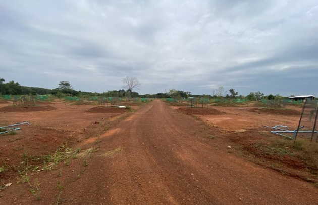 ขายที่ดินพร้อมสวนทุเรียน 800 ต้น ต.ชากโดน อ.แกลง จ.ระยอง   (เจ้าของขายเอง)