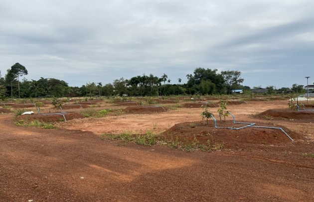 ขายที่ดินพร้อมสวนทุเรียน 800 ต้น ต.ชากโดน อ.แกลง จ.ระยอง   (เจ้าของขายเอง)