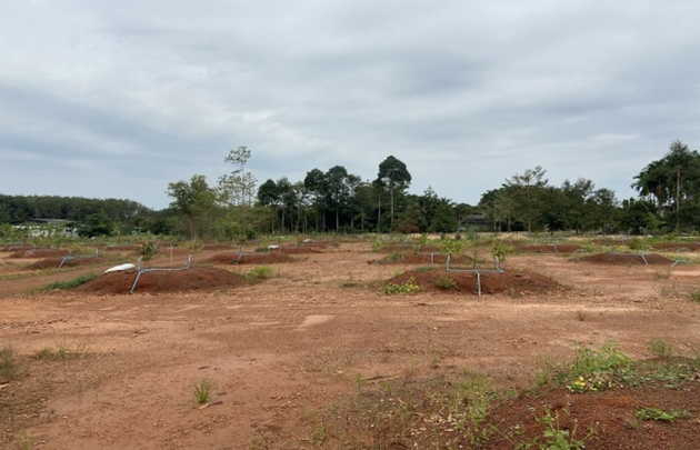 ขายที่ดินพร้อมสวนทุเรียน 800 ต้น ต.ชากโดน อ.แกลง จ.ระยอง   (เจ้าของขายเอง)