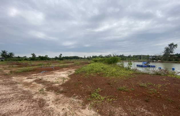 ขายที่ดินพร้อมสวนทุเรียน 800 ต้น ต.ชากโดน อ.แกลง จ.ระยอง   (เจ้าของขายเอง)