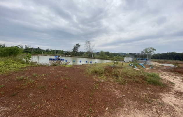 ขายที่ดินพร้อมสวนทุเรียน 800 ต้น ต.ชากโดน อ.แกลง จ.ระยอง   (เจ้าของขายเอง)