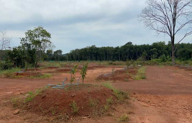 ขายที่ดินพร้อมสวนทุเรียน 800 ต้น ต.ชากโดน อ.แกลง จ.ระยอง   (เจ้าของขายเอง)