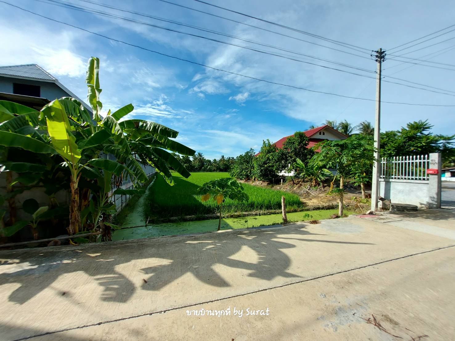 ขาย ที่ดิน ทำเลดี 4  ไร่ครึ่ง ใกล้พุทธมณฑล และวัดญาณฯ เข้าออกได้ทั้ง สาย 4 และ 5