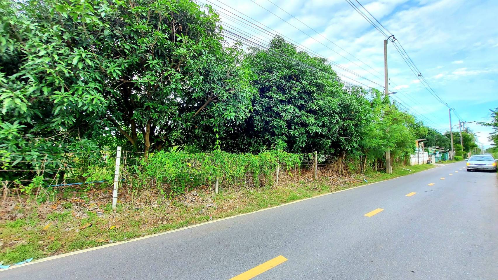 ขาย ที่ดิน 1 ไร่ ติดคลองมหาสวัสดิ์ ใกล้ม.มหิดล หน้าติดถนน ศาลายา พุทธมฑล นครปฐม