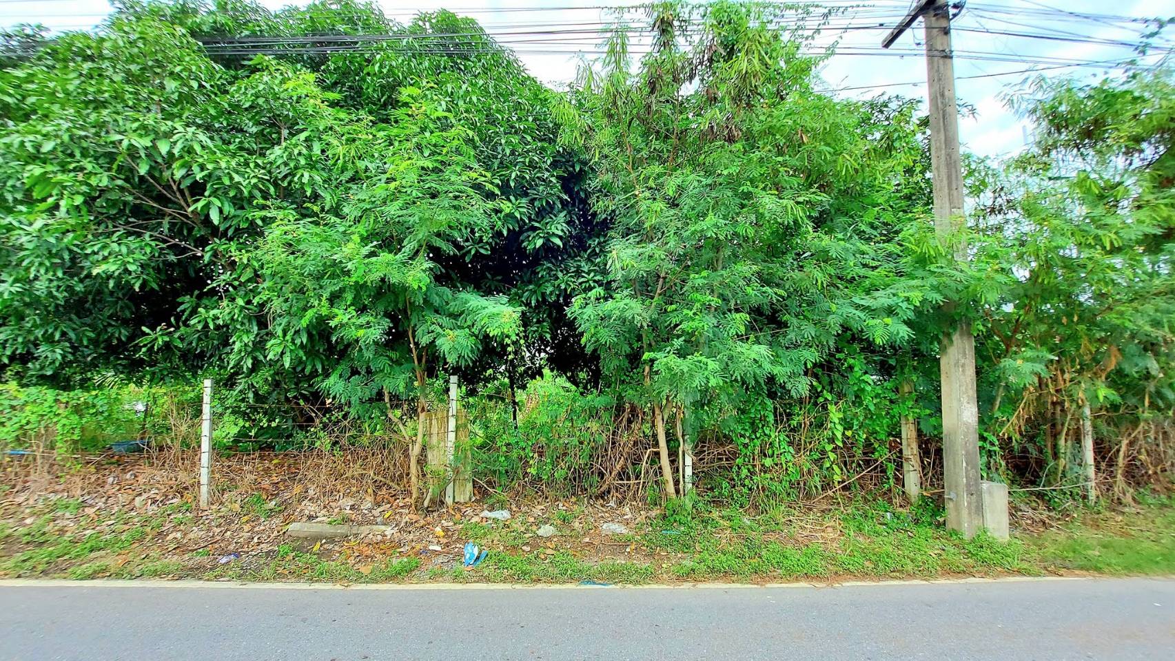 ขาย ที่ดิน 1 ไร่ ติดคลองมหาสวัสดิ์ ใกล้ม.มหิดล หน้าติดถนน ศาลายา พุทธมฑล นครปฐม