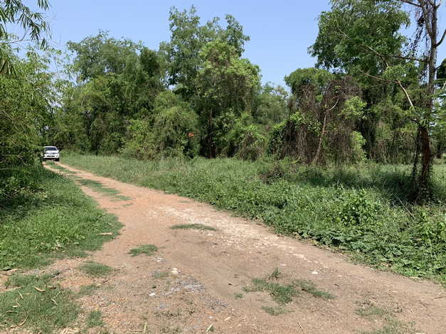 ขายที่ดิน ในซอยคลองห้า ตะวันตก14 อ.คลองหลวง จ.ปทุมธานี 