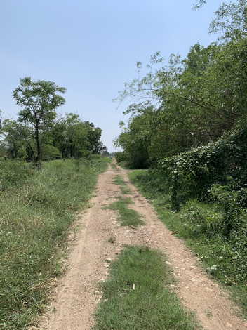 ขายที่ดิน ในซอยคลองห้า ตะวันตก14 อ.คลองหลวง จ.ปทุมธานี 