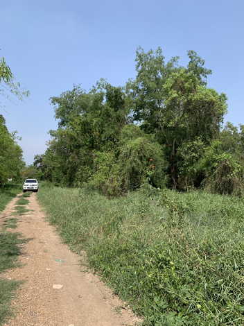 ขายที่ดิน ในซอยคลองห้า ตะวันตก14 อ.คลองหลวง จ.ปทุมธานี 