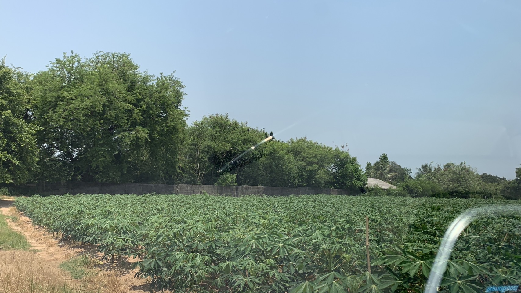 ขายที่ดิน ชุมชนเขาน้อย ซอย 3 (หลังสวนเสือ) อ.ศรีราชา 