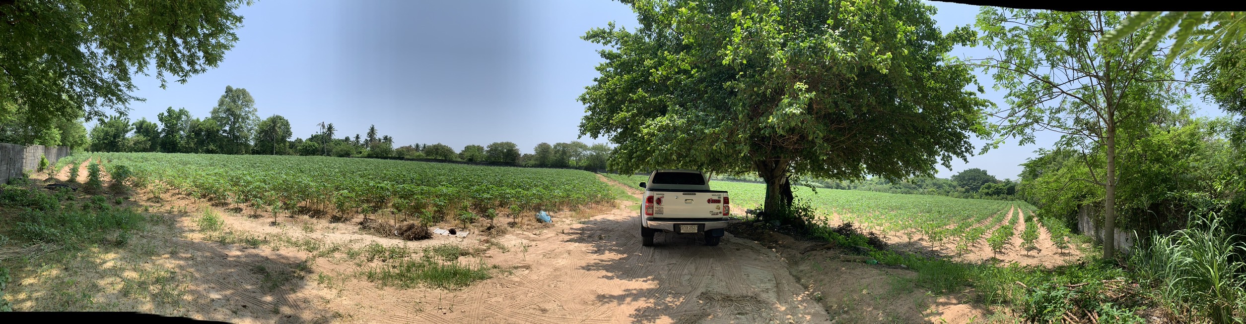 ขายที่ดิน ชุมชนเขาน้อย ซอย 3 (หลังสวนเสือ) อ.ศรีราชา 