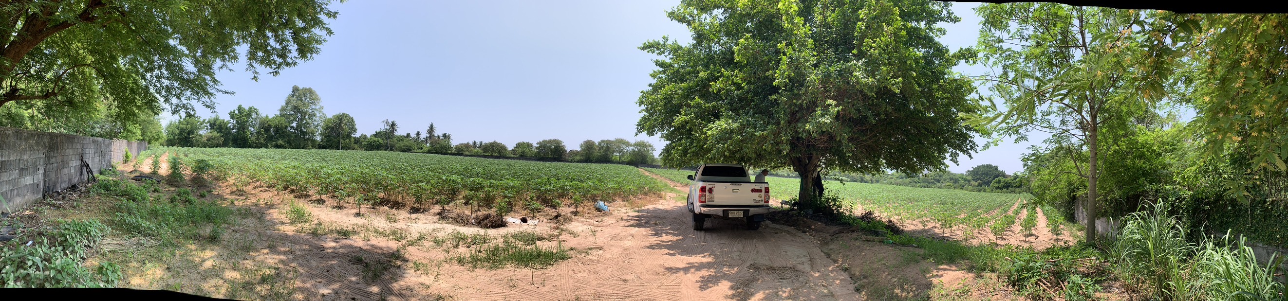 ขายที่ดิน ชุมชนเขาน้อย ซอย 3 (หลังสวนเสือ) อ.ศรีราชา 